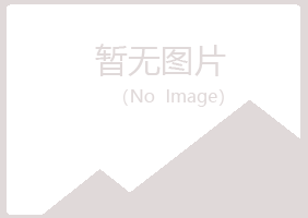 安阳殷都夏日服务有限公司